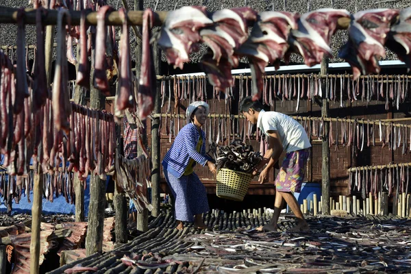 ÁSIA MYANMAR MYEIK PRODUÇÃO DE PESCA seca — Fotografia de Stock