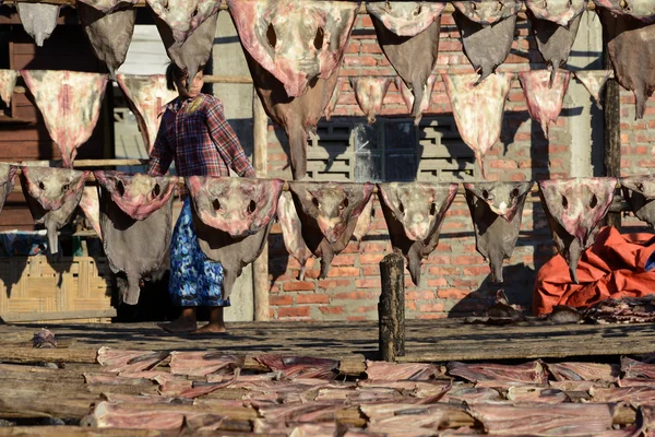 Asien myanmar myeik Trockenfischproduktion — Stockfoto