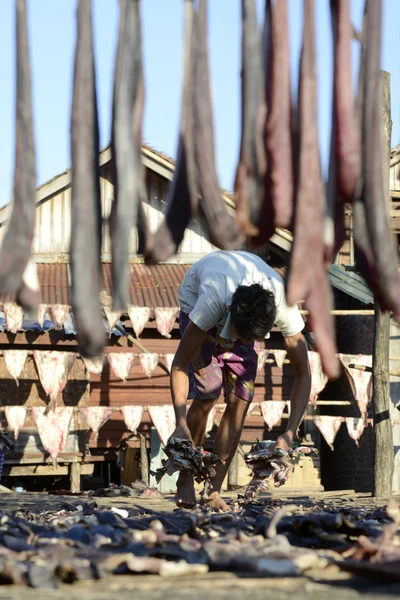 Asia Myanmar Myeik kuru Balık Üretimi — Stok fotoğraf
