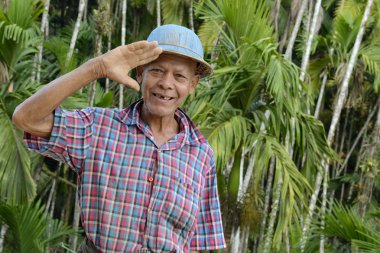 Asya Myanmar Myeik manzara