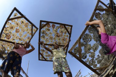 Asya Myanmar Myeik manzara