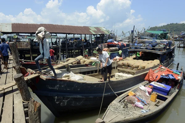 ASIA MYANMAR MYEIK LANDSCAPE — Stock Photo, Image