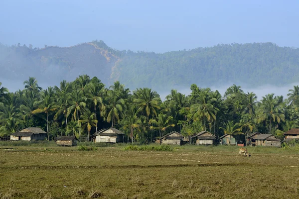 Asia Myanmar Myeik landschap — Stockfoto