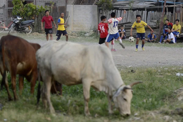 亚洲缅甸 nyaungshwe 足球 — 图库照片