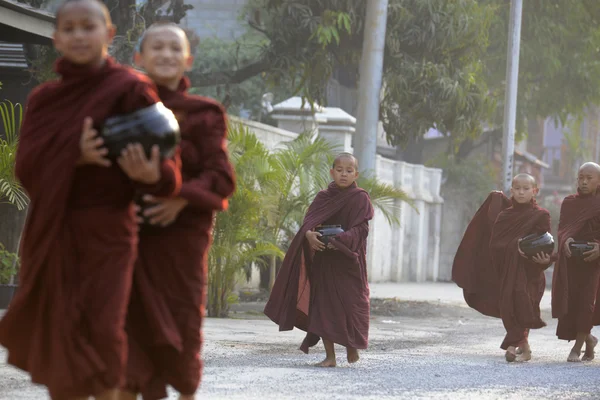 Jóvenes monjes budistas en camino en Nyaungshweasia, asiático, cuencos, niños, budismo, budista, edificios, niños, ropa, monjes, myanmar, nyaungshwe, personas, rojo, religión, religioso, camino, shan, southeastasia, estado, calle, vida callejera, suedostasien, ciudad, tradición, árboles, vil — Foto de Stock