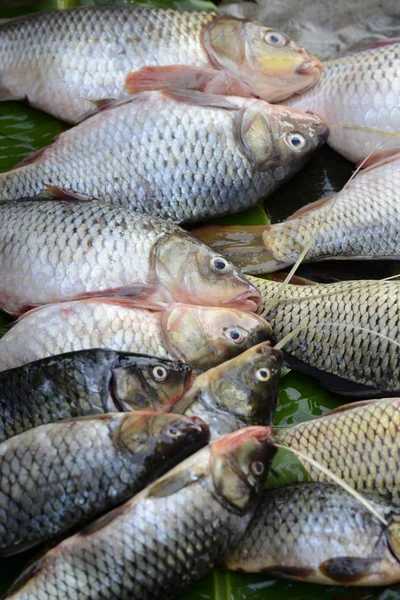 MERCADO PESQUERO DE ASIA MYANMAR NYAUNGSHWE —  Fotos de Stock