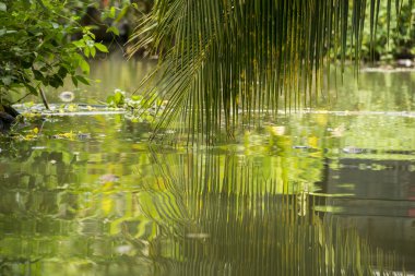 Asya Tayland Samut Songkhram Tha Kha manzara