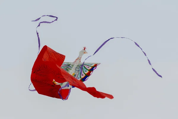 Asia Thailand Bangkok Sanam Luang Kite Flying — Stockfoto