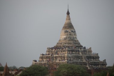 Asya Myanmar Bagan Tapınağı Pagoda manzara