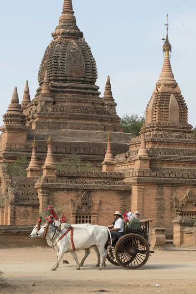 Asia Mianmar Bagan templom Pagoda közlekedési — Stock Fotó