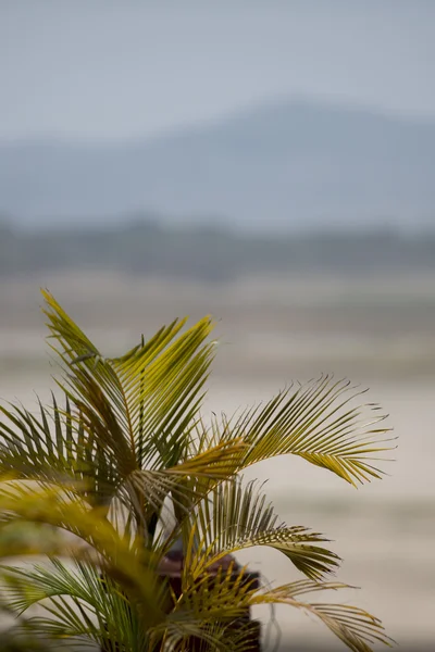 Río de Ayeyarwady asiático Myanmar Bagan — Foto de Stock