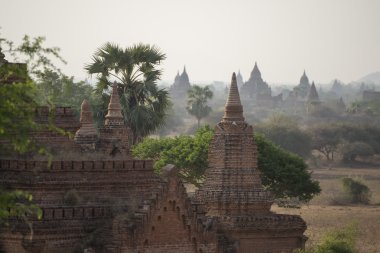 Asya Myanmar Bagan Tapınağı Pagoda manzara