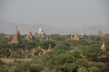 Asya Myanmar Bagan Tapınağı Pagoda manzara