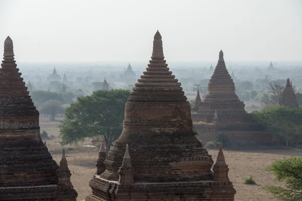 Asia Myanmar Bagan tempel pagode landschap — Stockfoto