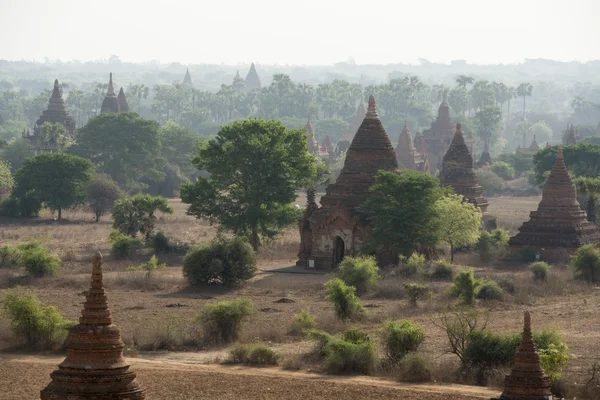 Asia Myanmar Bagan tempel pagode landschap — Stockfoto