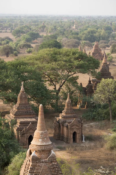 Asia Myanmar Bagan tempel pagode landschap — Stockfoto