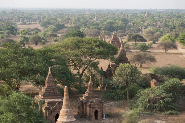 Asia Myanmar Bagan tempel pagode landschap — Stockfoto