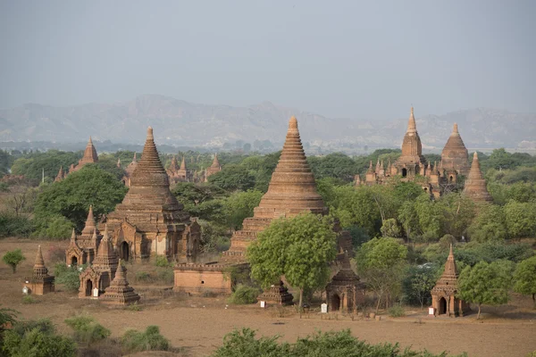 Asya Myanmar Bagan Tapınağı Pagoda manzara