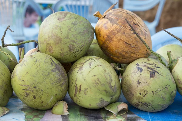 아시아 미얀마 바간 Cocosnut — 스톡 사진