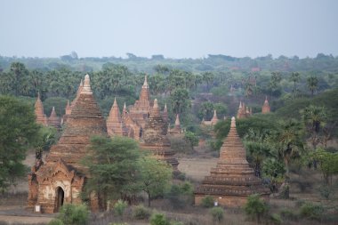 Asya Myanmar Bagan Tapınağı Pagoda manzara