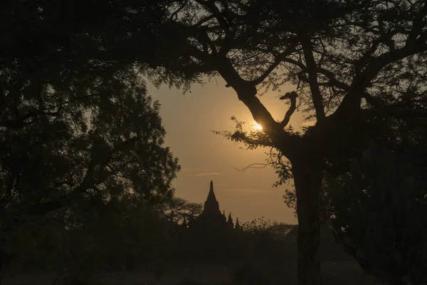 Asia Mianmar Bagan templom Pagoda táj — Stock Fotó