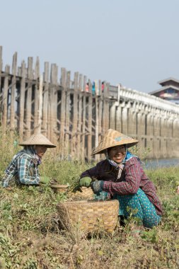 Asya Myanmar Mandalay Amarapura U olmak Köprüsü