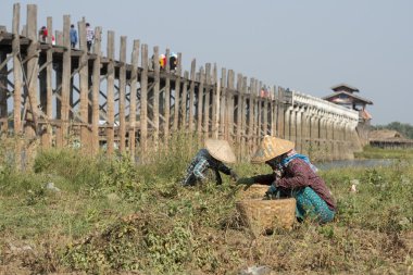 Asya Myanmar Mandalay Amarapura U olmak Köprüsü