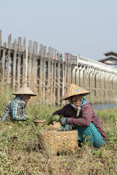 Asia Myanmar Mandalay Amarapura U Bein Bridge — Foto de Stock