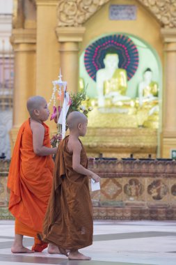 Asya Myanmar Yangon Shwedagon Pagoda