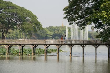 Asya Myanmar Yangon Kandawgyi Gölü Parkı