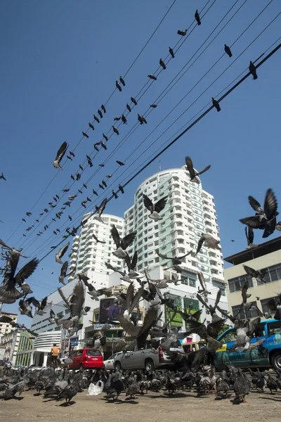 Azië Myanmar Yangon China Town stad — Stockfoto