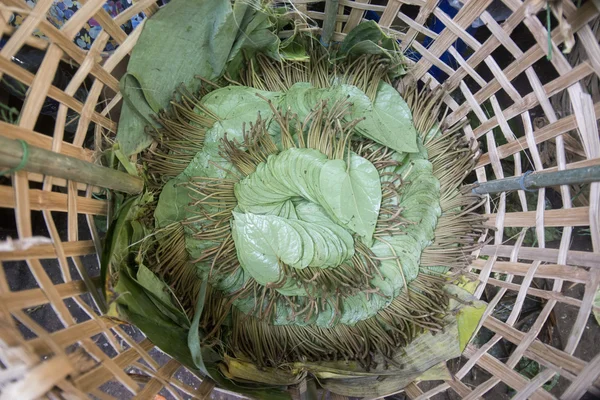 アジア ミャンマー ヤンゴン市場キンマ Leafes — ストック写真