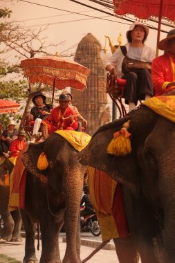 Asya Tayland Ayuthaya fil