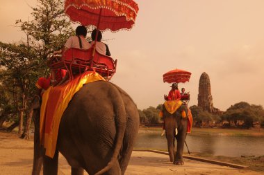 Asya Tayland Ayuthaya fil