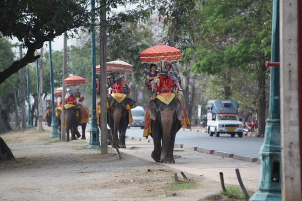 Tourists on elephant tour — Stock Photo, Image