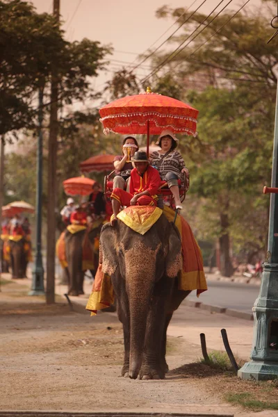 Turisták elefánt túra — Stock Fotó