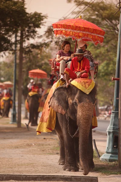 Turisták elefánt túra — Stock Fotó