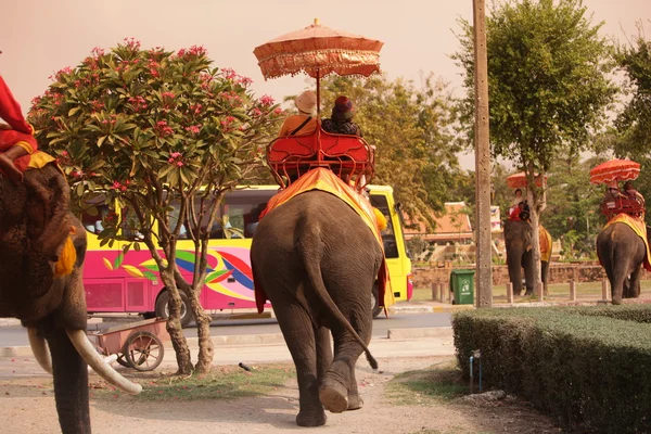 Turister på elefant tur — Stockfoto