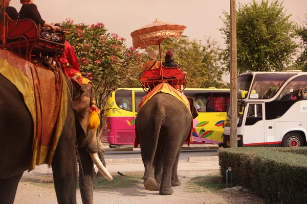 Turystów na trasie słoń — Zdjęcie stockowe