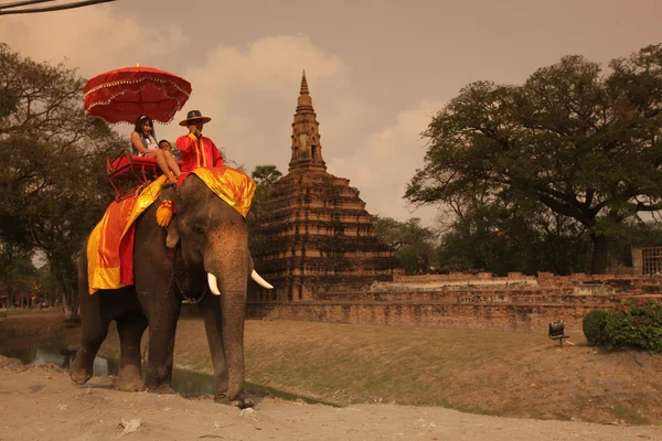 Asie Thajsko Ayuthaya slon — Stock fotografie