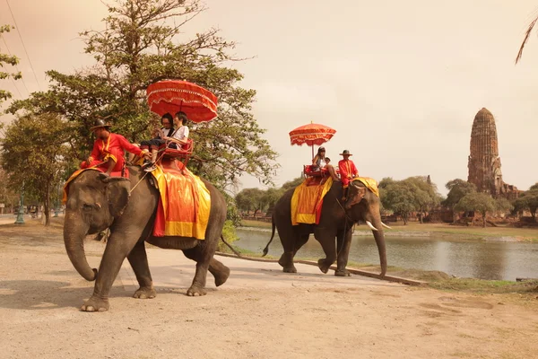 Turistas en gira de elefantes —  Fotos de Stock