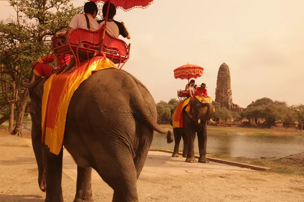 Asia Thaiföld Ayuthaya elefánt — Stock Fotó