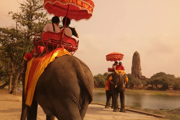 Asia Thaiföld Ayuthaya elefánt — Stock Fotó