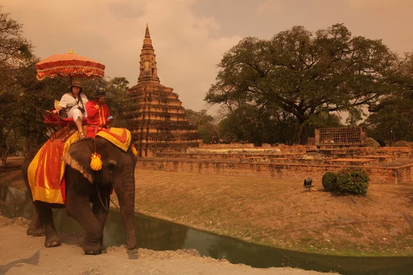 Asie Thajsko Ayuthaya slon — Stock fotografie