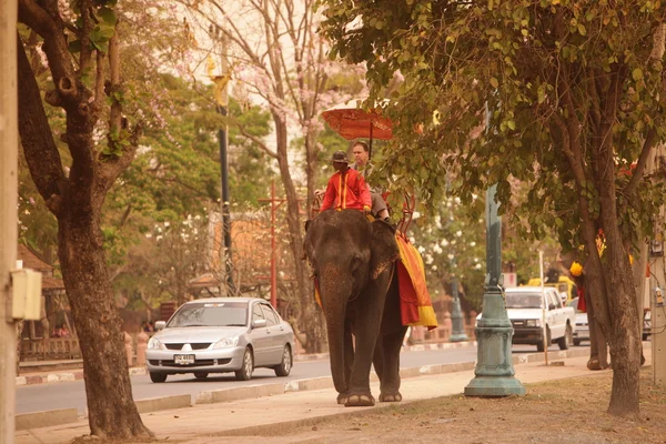 Ásia tailândia ayuthaya elefante — Fotografia de Stock