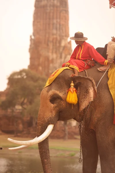 Turister på elefant tur — Stockfoto