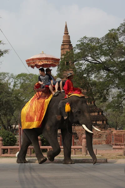 Toeristen op olifant tour — Stockfoto