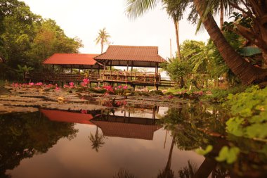 Lotus Bahçe göl kenarında
