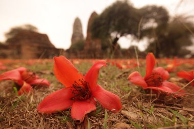 ASIA THAILAND AYUTHAYA WAT RATBURANA