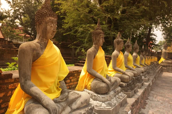 Kamenné sochy Buddhy v starověkého chrámu — Stock fotografie